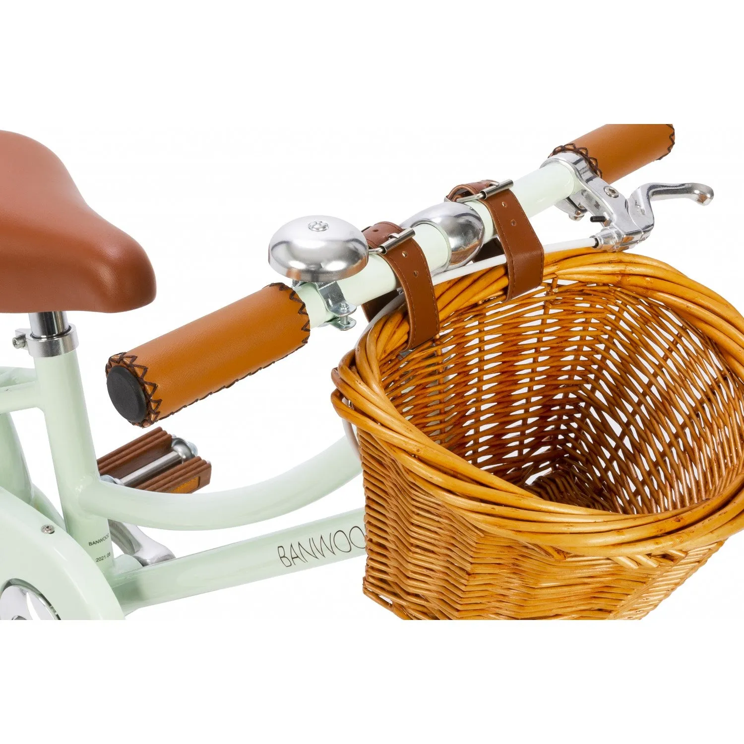Classic Bike in Pale Mint