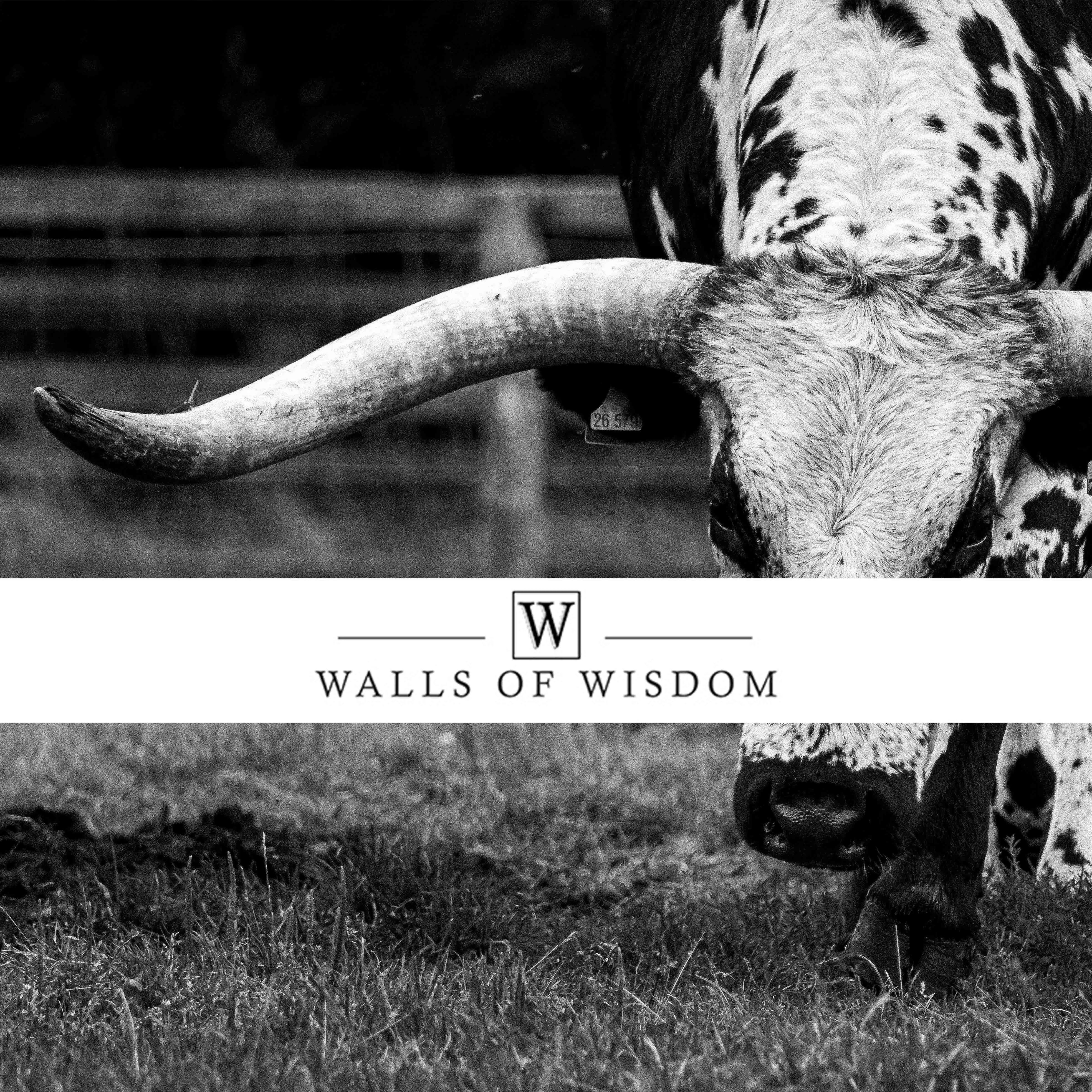 Texas Longhorn Wallpaper Mural - Western Decor Print Peel and Stick